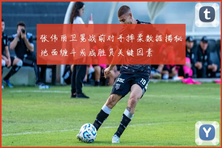 张伟丽卫冕战前对手摔柔数据揭秘地面缠斗或成胜负关键因素